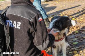 Policyjny śmigłowiec, drony i psy ratownicze zaangażowane w poszukiwania zaginionej 80-latki