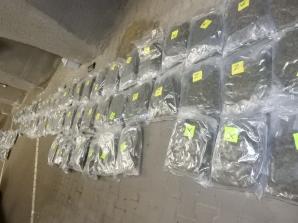 [VIDEO] Funkcjonariusze ze Wspólnej Polsko-Niemieckiej Placówki w Świecku zabezpieczyły narkotyki warte 6,5 miliona złotych