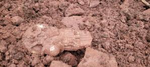 [VIDEO] Czy na policji w Nowej Rudzie doszło do wycieku informacji? Biuro Rutkowski zawiadamia Komendę Główną Policji!