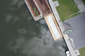 [VIDEO] Sukces polskich naukowców – znaleźli sposób na złotą algę