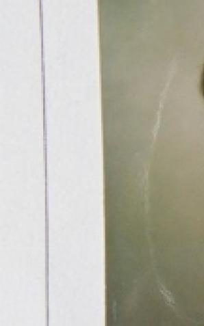 [VIDEO] Rutkowski szuka Zenona Kozłowskiego: matka i siostra opowiadają o jego tajemniczym zaginięciu