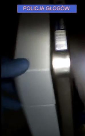 [VIDEO] Poszukiwany ukrył się w… zmywarce do naczyń