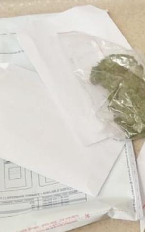 Wolsztyn 112 – Policyjny pies znalazł narkotyki w tapczanie! 