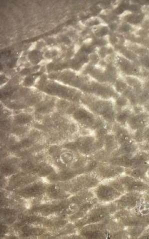 Dane na wagę prywatności i bezpieczeństwa. Często sami bezwiednie je rozdajemy