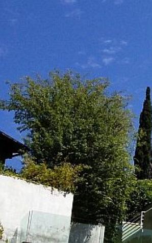 Spełnij swój amerykański sen! Tylko teraz: Los Angeles, Las Vegas, San Francisco!