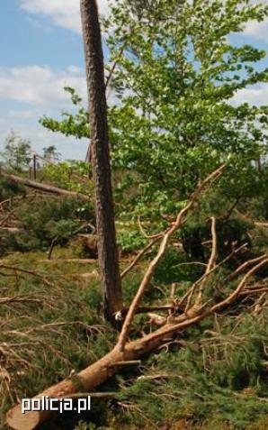 Podsumowanie działań po przejściu nawałnicy przez Pomorze