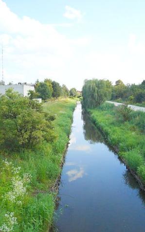 Policjanci uratowali starszą kobietę tonącą w Kanale Bródnowskim!