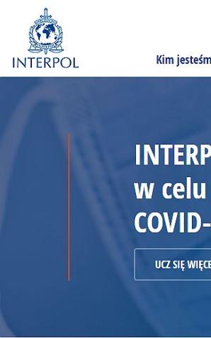 Interpol ostrzega przed internetowymi oszustwami na koronowirusa z terenu Niemiec, Holandii, Hiszpanii, Portugali i Singapuru
