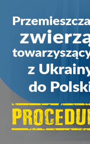 Procedura GIW dotycząca przemieszczania zwierząt towarzyszących z Ukrainy do Polski