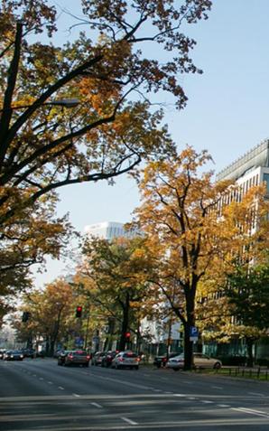 Decyzje podjęte na pierwszym posiedzeniu Zespołu wyłaniającego kandydatów na sędziego ETPC w Strasburgu