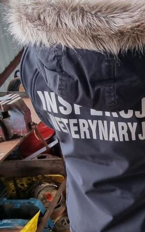 Policjanci i Służba Weterynaryjna odebrały 43 psy