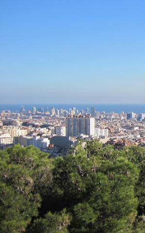 Rekordowo wysokie temperatury w europejskich miastach przyczyniają się do kilku tysięcy przedwczesnych zgonów. Jednej trzeciej z nich można uniknąć dzięki większemu zadrzewieniu