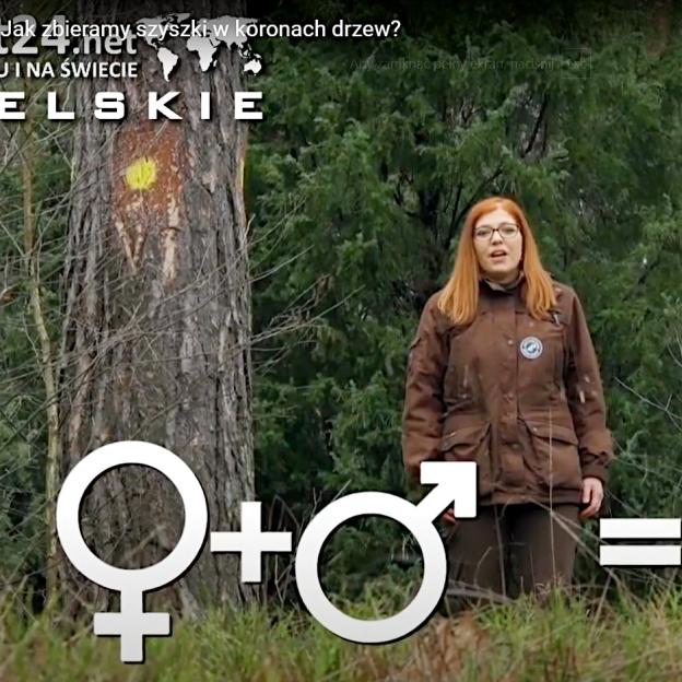 [VIDEO] Wielkie szyszkobranie na Roztoczu