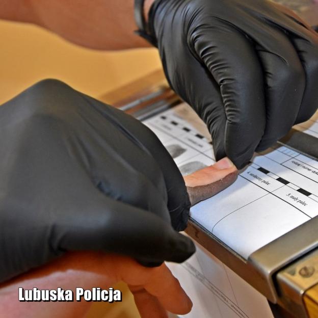 [VIDEO] Grzyby halucynogenne, marihuana i krzewy konopi - 14 kilogramów narkotyków zabezpieczone przez policjantów