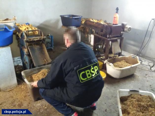 Kalisz: Zlikwidowane kolejne linie produkujące krajankę tytoniową