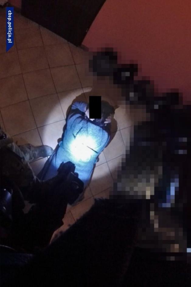 [VIDEO] Nadzór nad agencją towarzyską sprawowali według grafiku - zatrzymanie