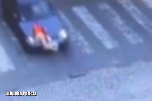 [VIDEO] Dziecko potrącone na pasach. Niebezpieczne zdarzenie zarejestrowane przez monitoring
